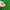 Grass Seeds Hybrid Best For Your Beautiful Home Gardening (Pack Of 100 seeds) (Pack of 1) dime-store-in