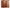 Wooden Partition for Living Rooms 4 Feet Wall Divider, Wood Screen Separator Room Divider Wall Panels for Living Room, Bedroom, Office, Restaurant Dime Store
