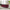 Wooden Designer Velvet Rolled Arm Chesterfield Sofa 3 Seater Couch Lounge Dime Store