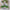 Multi 6 Tier Plant Stand Flower Pot Stand for Balcony Living Room Outdoor Indoor Plants Plant Holder Home Décor Item Dime Store