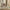 Wooden Handmade Button Tufted Teak Wood Wingback Chairs | Chair for Dining Table , Office Chair (Set of 2) Dime Store