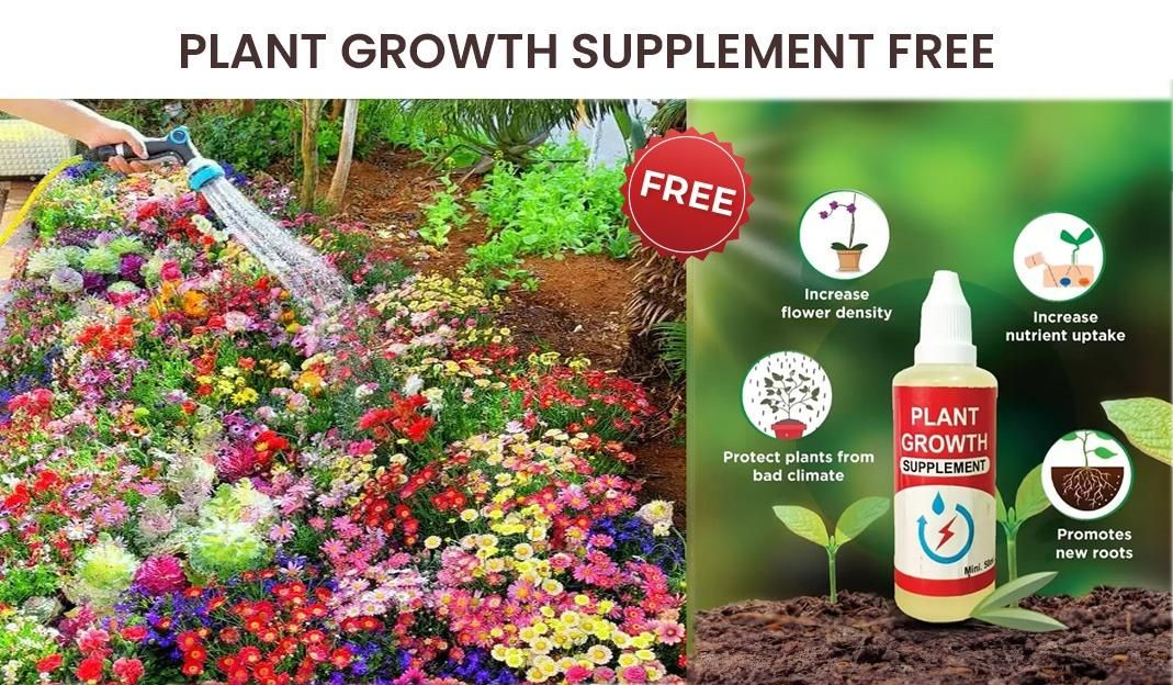 Buy Varieties of Flower Seeds (Pack of 100) And Get Plant Growth Supplement Free dime-store-in