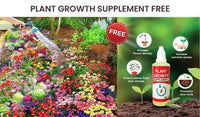 Thumbnail for Buy Varieties of Flower Seeds (Pack of 100) And Get Plant Growth Supplement Free dime-store-in