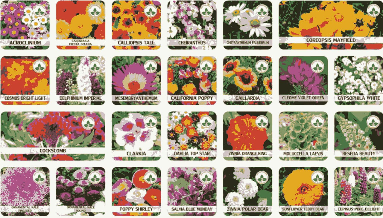 Buy Varieties of Flower Seeds (Pack of 100) And Get Plant Growth Supplement Free dime-store-in