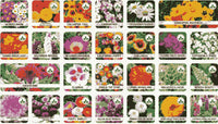 Thumbnail for Buy Varieties of Flower Seeds (Pack of 100) And Get Plant Growth Supplement Free dime-store-in