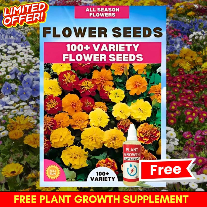 Buy Varieties of Flower Seeds (Pack of 100) And Get Plant Growth Supplement Free dime-store-in