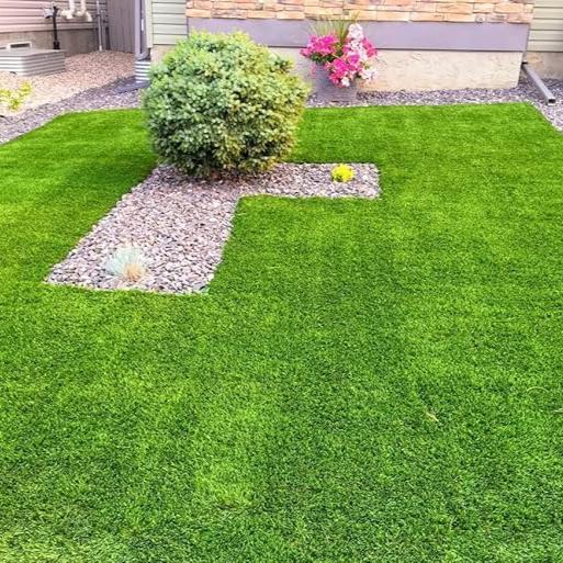 GroMax™ Grass Seeds - Best For Your Home Gardening | Pack Of 100 Seeds 🌱 dime-store-in