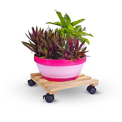 Portable Wood Plant Stand Moving Trolley Type Beige Planter Trolley Rolling Tray Coaster Flower Pot Stand For Balcony, Garden, Kitchen Cylinder Stand Dime Store