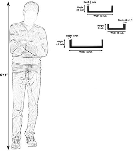 Wall Mount Wall Shelf Wall Rack Wall Shelves for Living Room/Home/Kitchen for Home Decor Dime Store