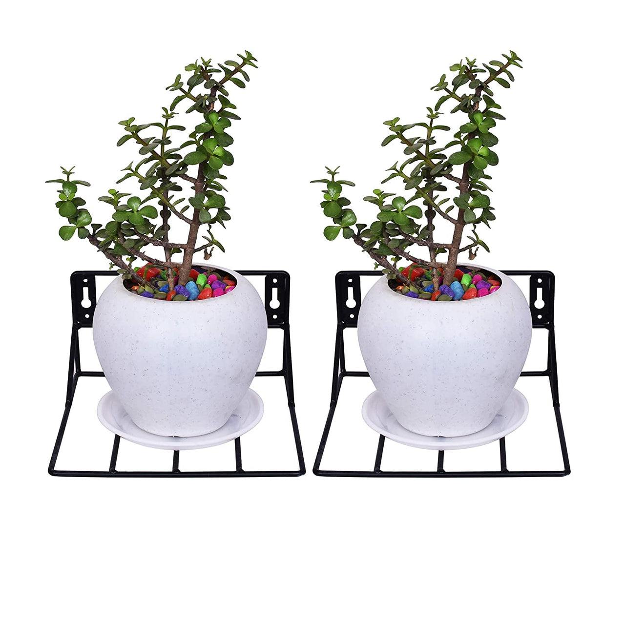 Dime Store Wall Hanging Plant Planter Pot Stand Bracket for Balcony Metal Wall Fixing Wall mounting Wall Shelves for Home and Garden Dime Store