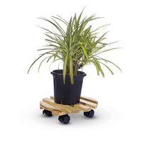 Thumbnail for Portable Wood Plant Stand Moving Trolley Type Beige Planter Trolley Rolling Tray Coaster Flower Pot Stand For Balcony, Garden, Kitchen Cylinder Stand Dime Store