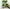Plant Stand Flower Pot Stand for Balcony Living Room Outdoor Indoor Plants Plant Holder Home Decor Item Dime Store