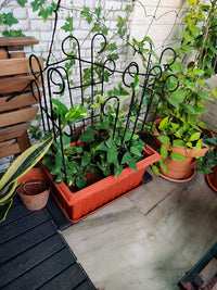 Thumbnail for Plant Support Climber Extension for Plant Stand Flowers for Home Balcony Indoor Outdoor Plants Dime Store